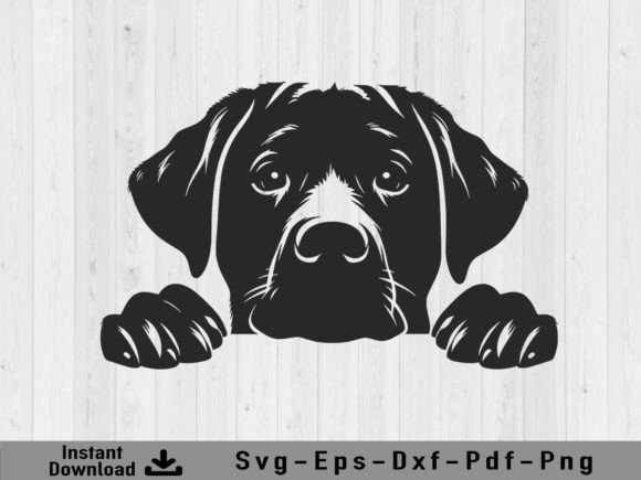 Download Peeking Labrador Retriever Dog Svg File - Premium Bundle