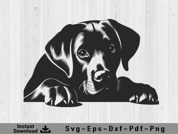 Download Peeking Labrador Retriever Dog Svg File - Dog svg file Collection