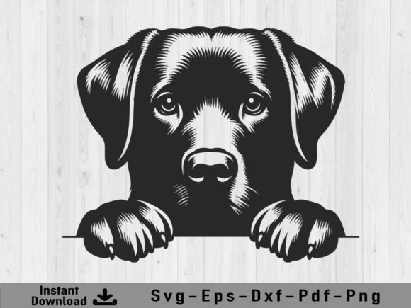 Download Peeking Labrador Retriever Dog Svg File - Premium Bundle